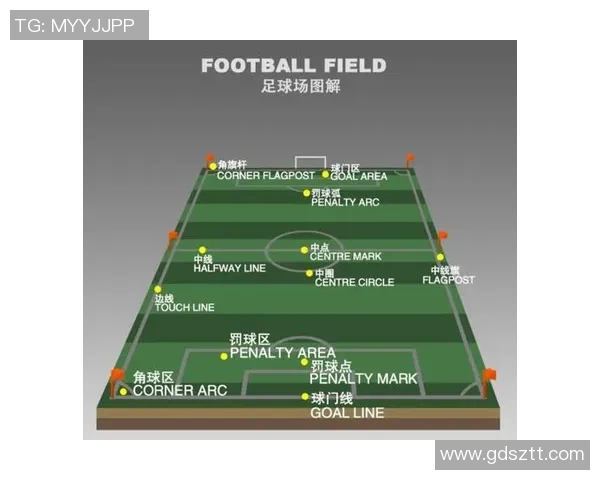 鲁能专业足球场建设正式启动期待为足球发展注入新活力